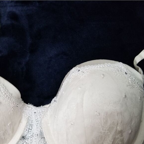 Victoria's Secret Designer Collection Corset - Picture 8 of 14